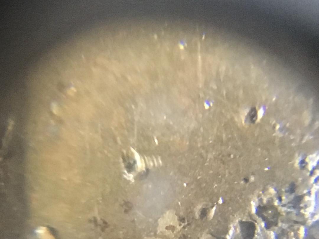 Coins-To-Wonder-About